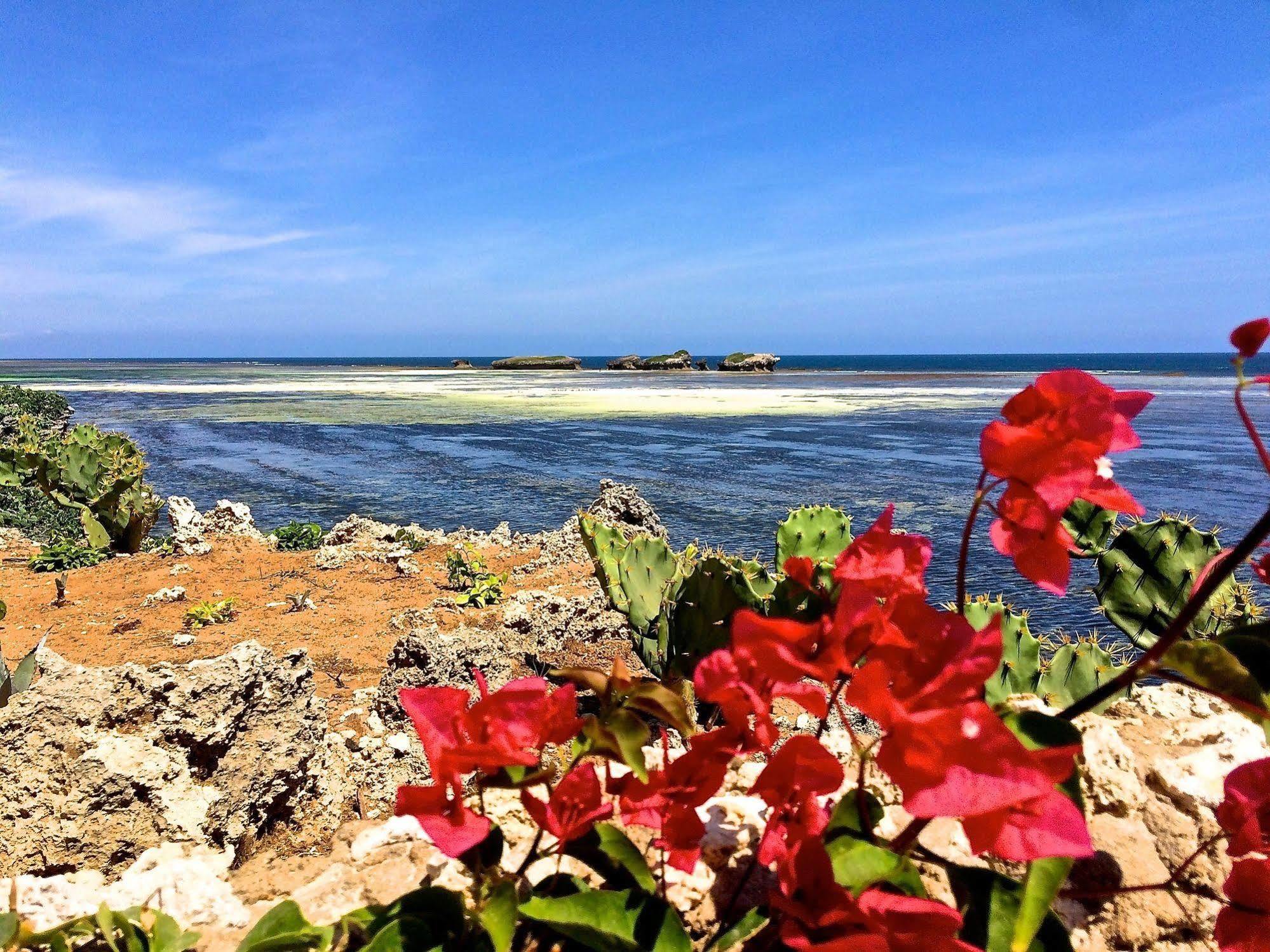 Mawe Resort Watamu Boutique Hotel Luaran gambar