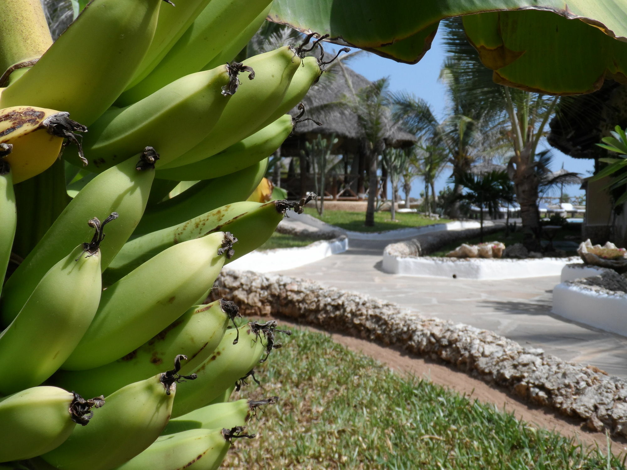Mawe Resort Watamu Boutique Hotel Luaran gambar